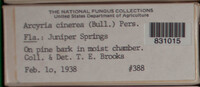 Image Associated With the Occurence